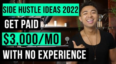 TOP 3 Side Hustle Ideas For Beginners With No Experience (2022)